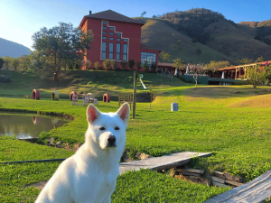 Na imagem temos um dos nossos hóspedes após a leitura de motivos para viajar com seu cachorro