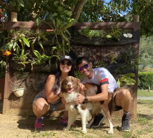 pousada pet friendly