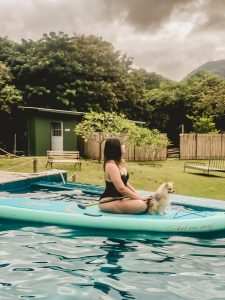 pousada pet friendly