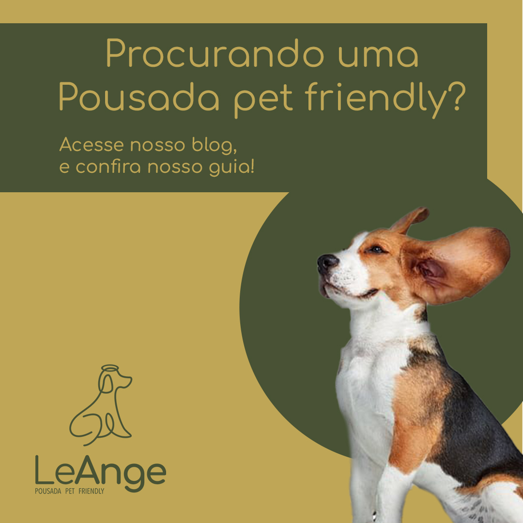 Procurando uma Pousada Pet Friendly?